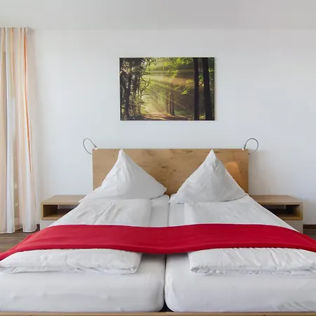 Apartment Gaestehaus D I C K R E I T E R *