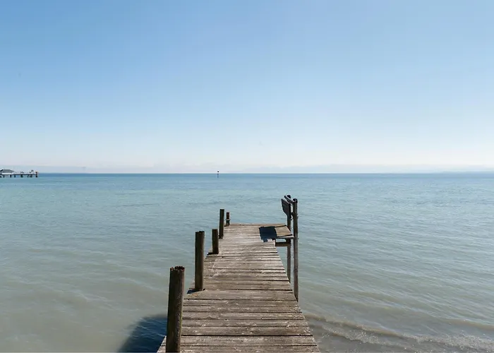 D I C K R E I T E R *